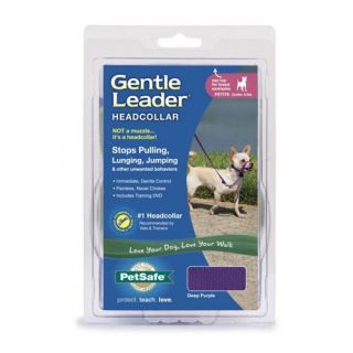 PetSafe Gentle LeaderQuick Release Headcollar   Dog Collars & Leashes
