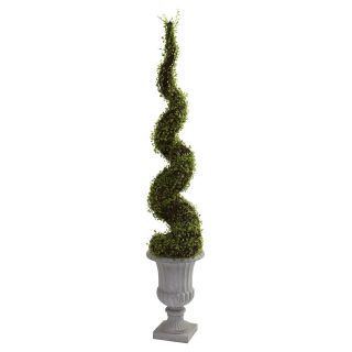 Nearly Natural 5 ft. Mohlenbechia Spiral Topiary   Topiaries