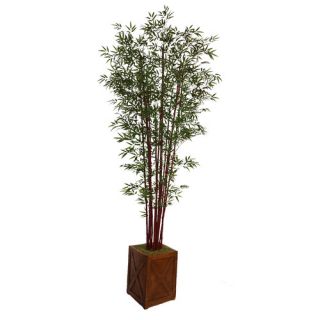 Tall Harvest Bamboo Tree in Planter by Laura Ashley Home