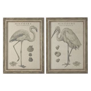 Uttermost Natural History   Set of 2   29W x 39.5H in. ea.   Wall Art