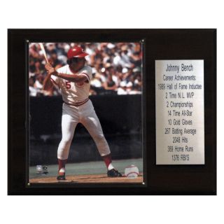 MLB 12 x 15 in. Johnny Bench Cincinnati Reds Career Stat Plaque   Collectible Wall Art & Photography