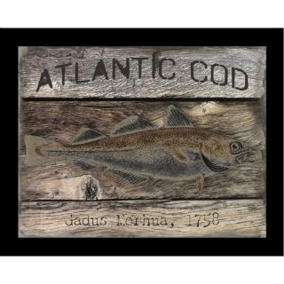 Coastal Atlantic Cod Framed Graphic Art
