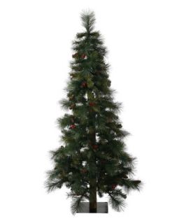 Vickerman 5 ft. Potted Mixed Pine Unlit Full Christmas Tree   Christmas Trees