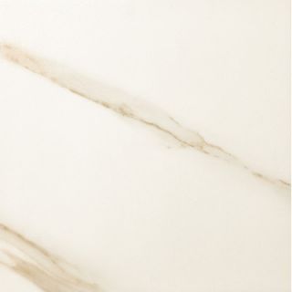 Timeless Collection 11.69 x 23.44 Porcelain Field Tile in Calacatta