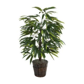 Vickerman Deluxe Artificial Potted Natural Mango Tree in Basket