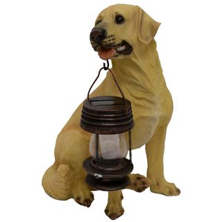 Tricod Yellow Labrador Dog with Lantern Solar Light   12962438