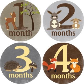 Rocket Bug Forest Critters Monthly Baby Bodysuit Stickers   17072695