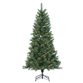 Briarwood Pine Pre Lit Full Christmas Tree by Sterling Tree Company   Christmas Trees
