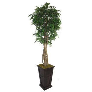 Laura Ashley Home Tall Willow Ficus Trunks Tree in Planter