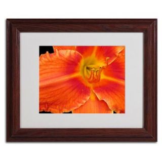 Trademark Fine Art 11 in. x 14 in. Orange Day Lily Matted Framed Art KM0274 W1114MF