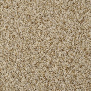 STAINMASTER Active Family 12 ft Cinema 241 Carpet Alcapulco Sand Textured Indoor Carpet
