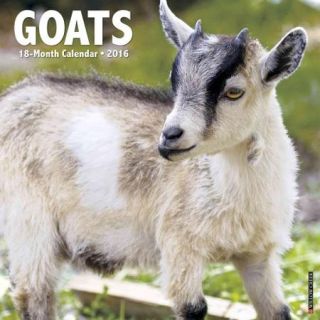 Goats 2016 Calendar