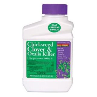 BONIDE PRODUCTS INC Chickweed & Clover Killer, Concentrate, 1 Pt.