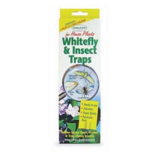 Tanglefoot Whitefly and Insect Trap   Set of 2