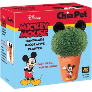 As Seen On TV Chia Pet Mickey Mouse