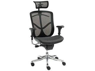 EQ Series Ergonomic Multifunction High Back Mesh Chair, Aluminum Base