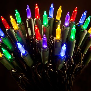 25ft. Brite Ideas Indoor/Outdoor Multi colored LED Lights   Christmas Lights