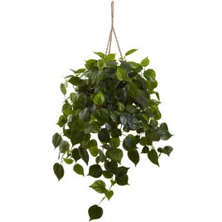 Philodendron Hanging Basket UV Resistant (Indoor/ Outdoor)