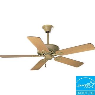 Progress Lighting AirPro Performance 52 in. Seabrook Ceiling Fan DISCONTINUED P2503 42