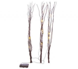 BethlehemLights BatteryOperated 36 Natural Twigs with Timer   H167887 —