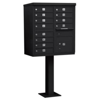 Salsbury Industries Black USPS Access Cluster Box Unit with 12 A Size Doors and Pedestal 3312BLK U
