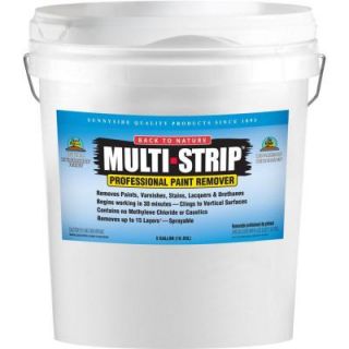 MULTI STRIP 5 gal. Multiple Layer Paint and Varnish Remover MS05