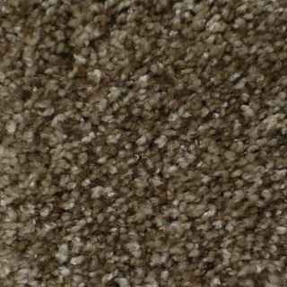STAINMASTER Active Family Documentary Montage Textured Indoor Carpet