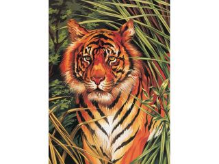 Junior Paint By Number Kits 9"X12" Tiger On The Prowl