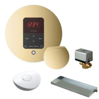 Mr. Steam MS Butler Package with iTempo Pro Round Programmable Control for Steam Bath Generator in Polished Brass MSBUTLER1RD PB