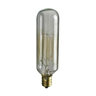 Titan Lighting Ogden Collection 40 Watt Incandescent T6 Candelabra Filament Light Bulb   Vintage Style Light Bulb TN 38005