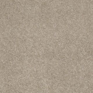 Shaw Supreme Delight 2 Park Avenue Rectangular Indoor Tufted Area Rug (Common 8 x 11; Actual 96 in W x 132 in L)