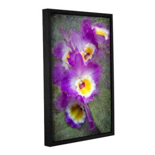 ArtWall Irises by Antonio Raggio Floater Framed Photographic Print on Gallery Wrapped Canvas