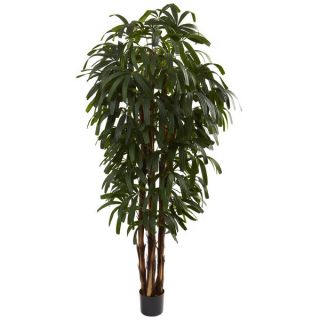 Nearly Natural 6 foot Raphis Palm Tree Decorative Plant
