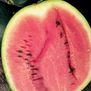 Seeds of Change Watermelon Sugar Baby Seeds Pack 01524