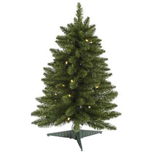 Vickerman 24 Pine Tree with 30 Warm White Battery Operated LED Lights