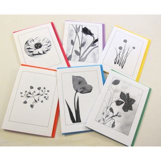 Kathie McCurdy Black and White Flower Greeting Cards (Set of 6