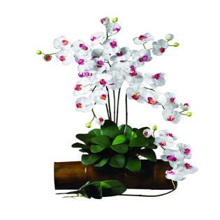 Phalaenopsis Stem (Set of 12)   Home   Home Decor   Decorative Accents