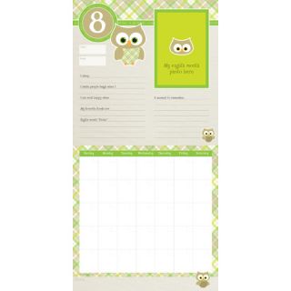 Babys First Year NonDated Wall Calendar by TFPublishing