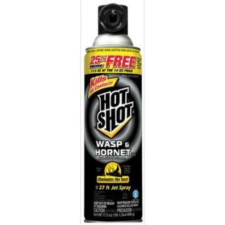 Hot Shot Wasp & Hornet Killer Insecticide, 17.5 oz