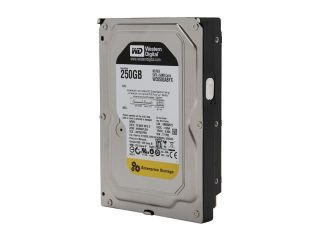 WD WD RE4 WD2503ABYX FR 250GB 7200 RPM 64MB Cache SATA 3.0Gb/s 3.5" Internal Hard Drive