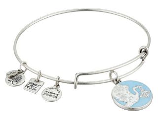 Alex and Ani Blue Special Delivery Charm Bangle