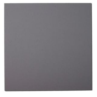 Owens Corning 24 in. x 24 in. Grey Square Acoustic Sound Absorbing Wall Panels (2 Pack) 02505