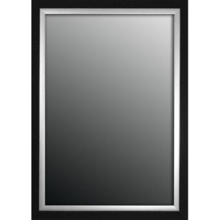 Second Look Mirrors Natural Ebony Black/Silver Trim Framed Wall Mirror