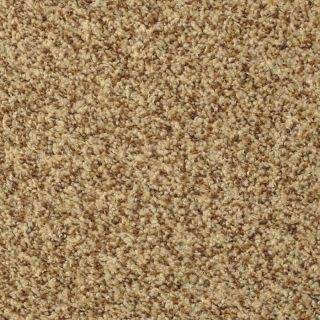 STAINMASTER Active Family Documentary Tuscany Textured Indoor Carpet