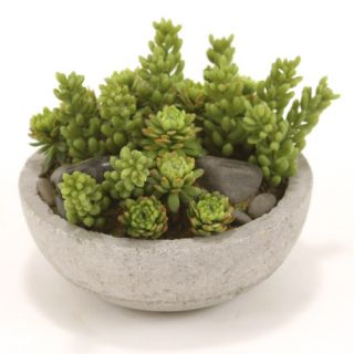 Distinctive Designs Faux Mixed Succulents and Stones Floor Plant in