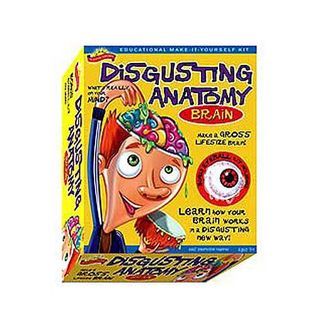 Scientific Explorer Disgusting Anatomy Brain   Toys & Games   Learning