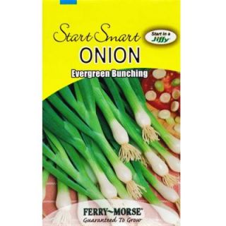 Ferry Morse Evergreen Bunching Onion Seed 2040