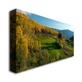 Trademark Fine Art 24 x 47 inches The Fairway Canvas Golf Art