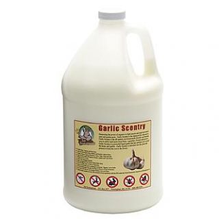 Just Scentsational One Gallon Ready to use Garlic Scentry Formula