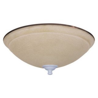 Ashton Wet Amber Mist Light Fixture